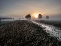 Poh_Morgennebel2